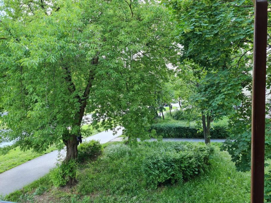 Apartament Kraszewskiego - Retro, Blisko Starowki, Kolo Parku, Ogrod Dla Gosci, Rowery Free ทอรูน ภายนอก รูปภาพ