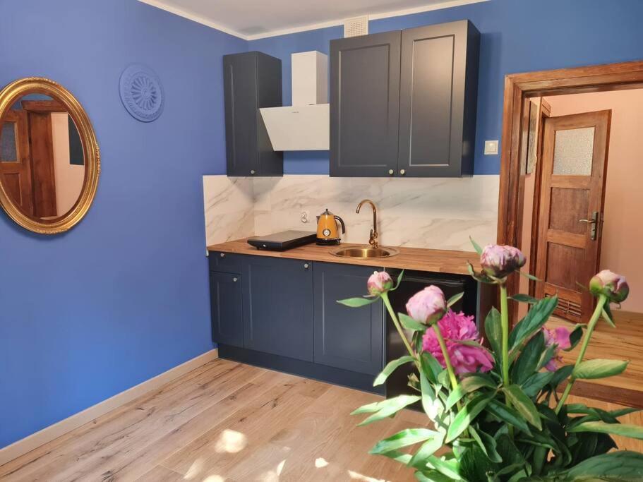 Apartament Kraszewskiego - Retro, Blisko Starowki, Kolo Parku, Ogrod Dla Gosci, Rowery Free ทอรูน ภายนอก รูปภาพ